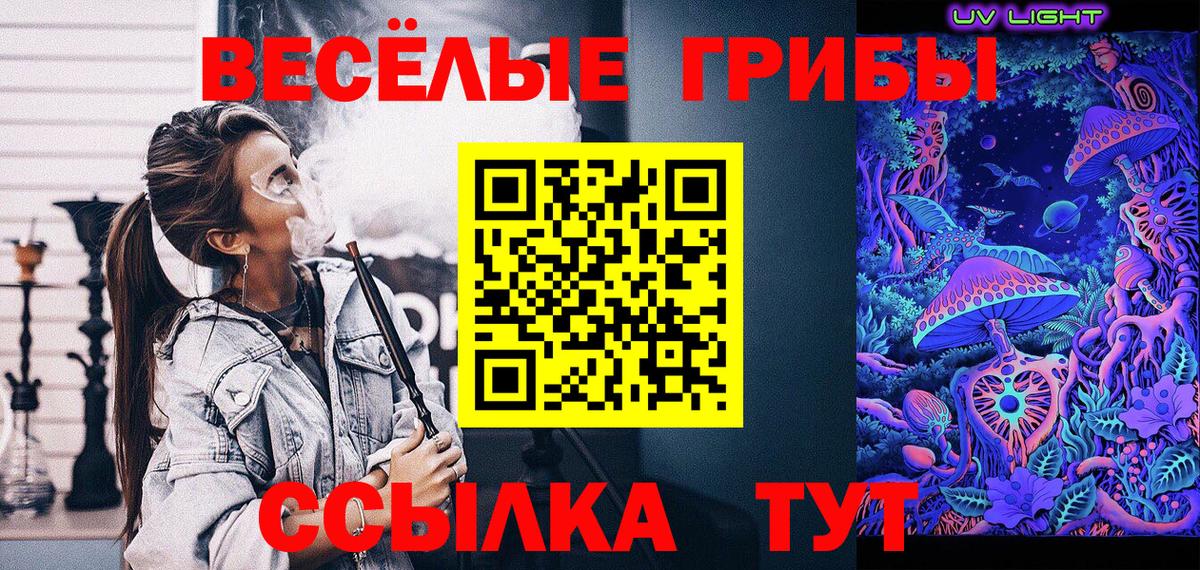 Псилоцибиновые грибы Psilocybe  Вход с VPN  Салехард 